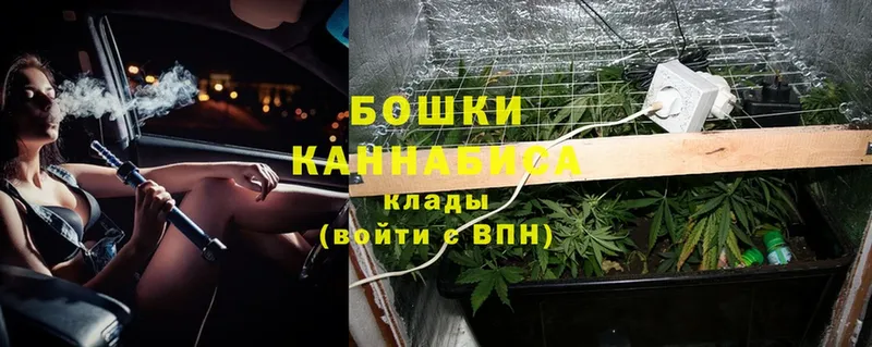 Шишки марихуана SATIVA & INDICA  где можно купить   Каменка 